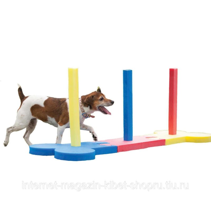 Agility для собак
