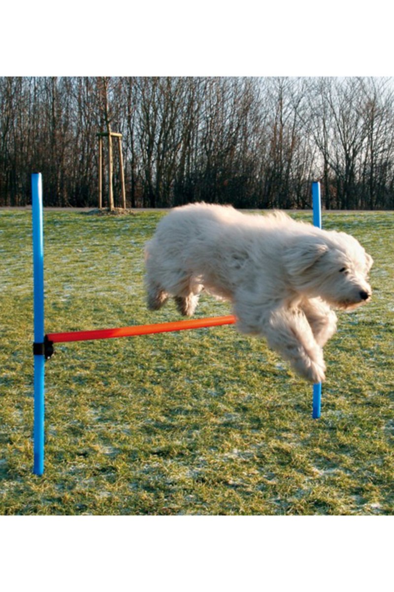 Набор для аджилити Trixie Jump