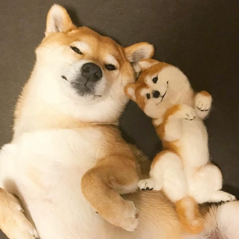 Саншу ину