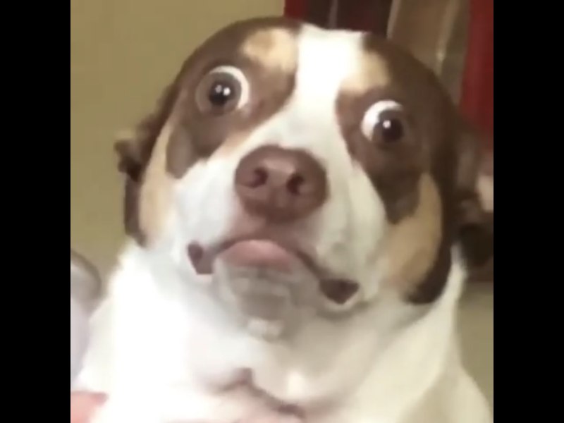 Mr Bubz