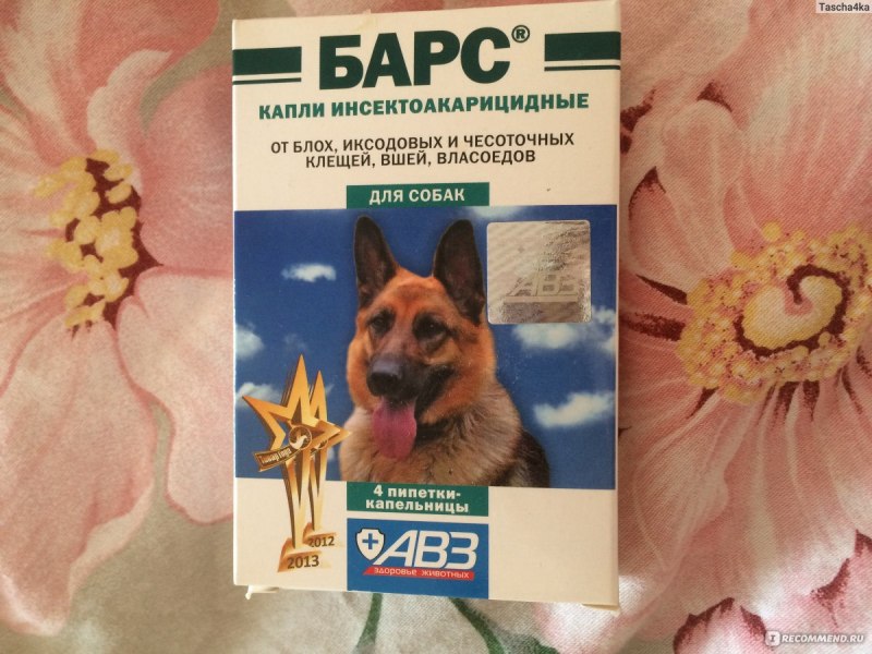 Иксодовых клещей у собак