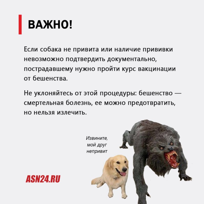 Найдена собака стаффордширский терьер