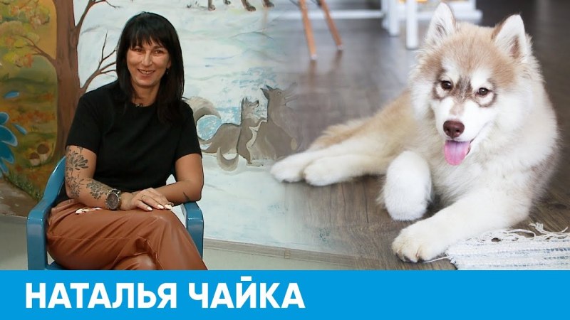 Мастиф Хонг Донг