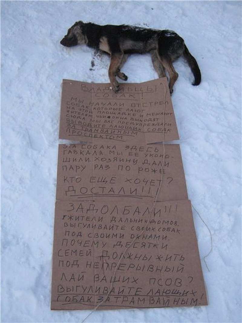 Изониазид отравление собак