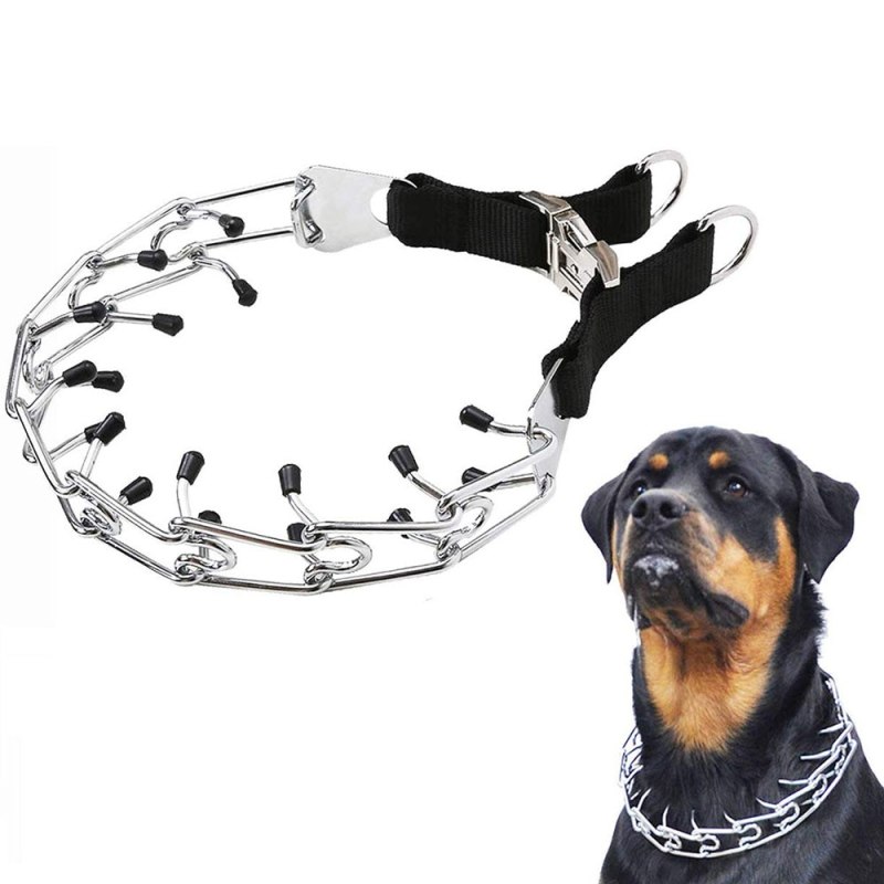 Ошейник Pit bull 010u с поводком