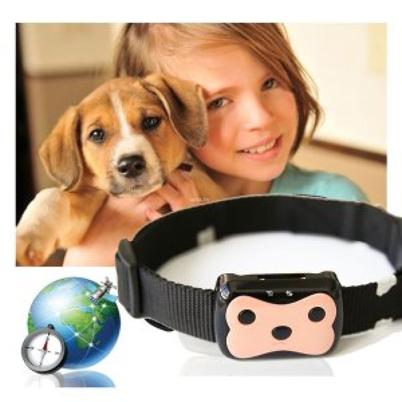 Умный ошейник Pet GPS Tracker