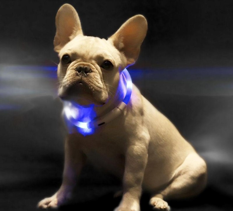 Xiaomi small Beast Star Pet Collar