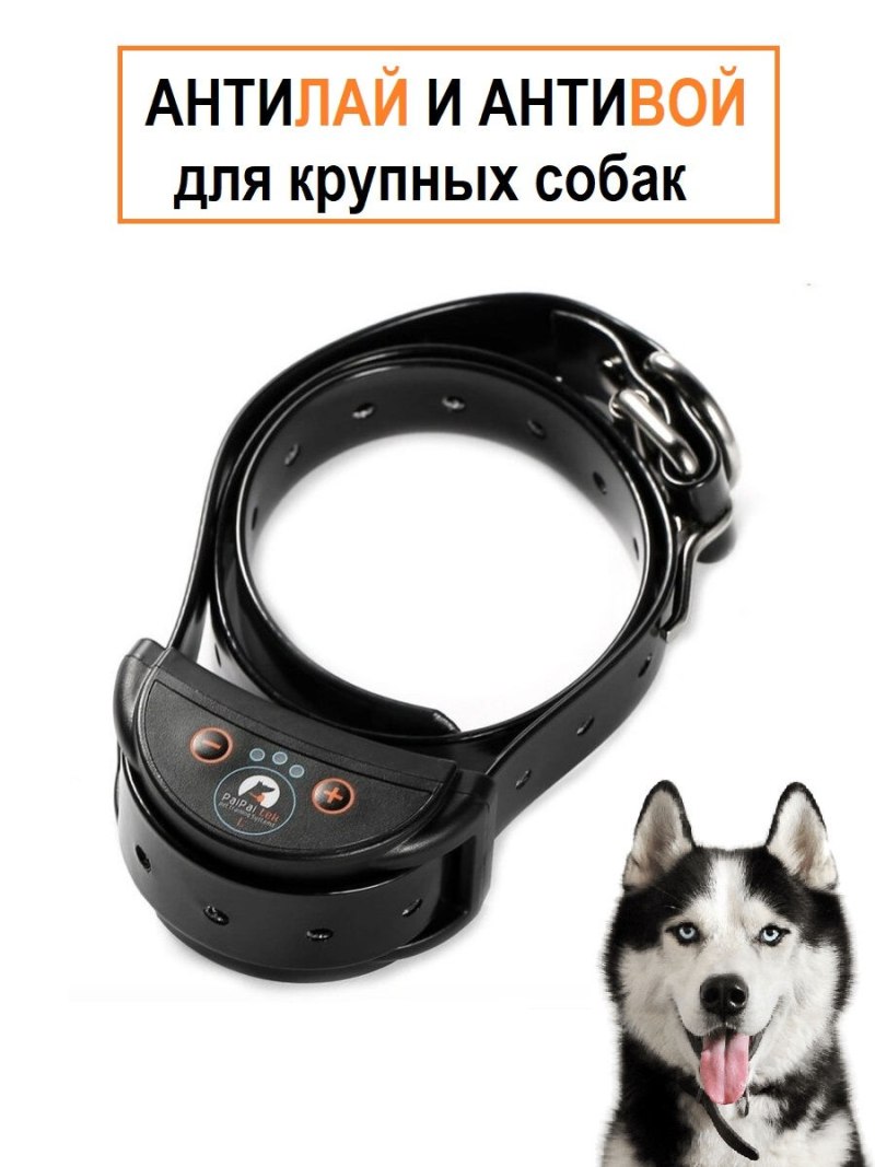 Ошейник Trixie USB Flash Light m-l 12691-12707 45 см