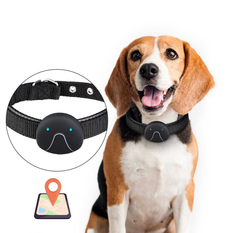 Ошейник Pet GPS-трекер