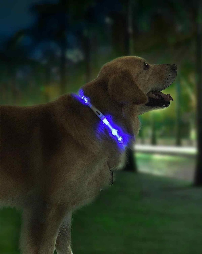 Умный ошейник для собак Xiaom small Beast Star Pet Collar (xl81-5001) Румиком