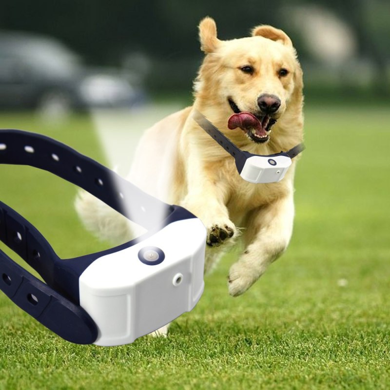 Ошейник для собак Rukka Bliss Collar 25мм 30-50см