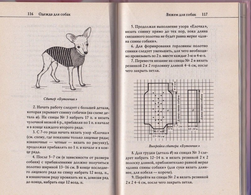 Одежда для Джек Рассела