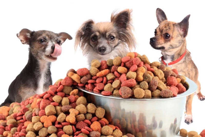 Purina Pro Plan small&Mini Puppy