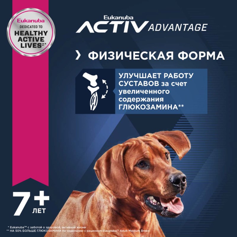 Эукануба для пожилых собак