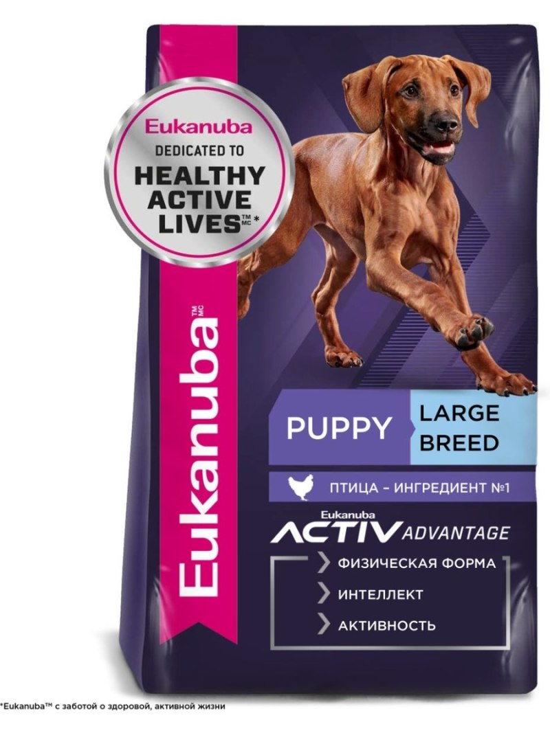 Eukanuba для щенков крупных пород