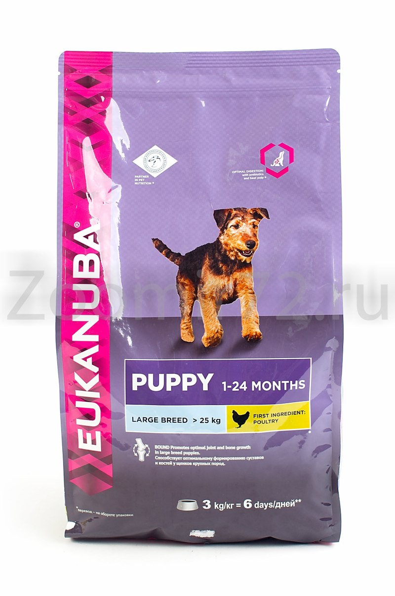 Eukanuba для щенков крупных пород