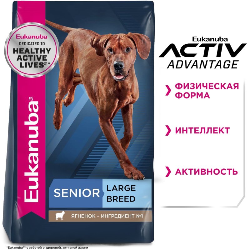 Eukanuba Puppy large Breed