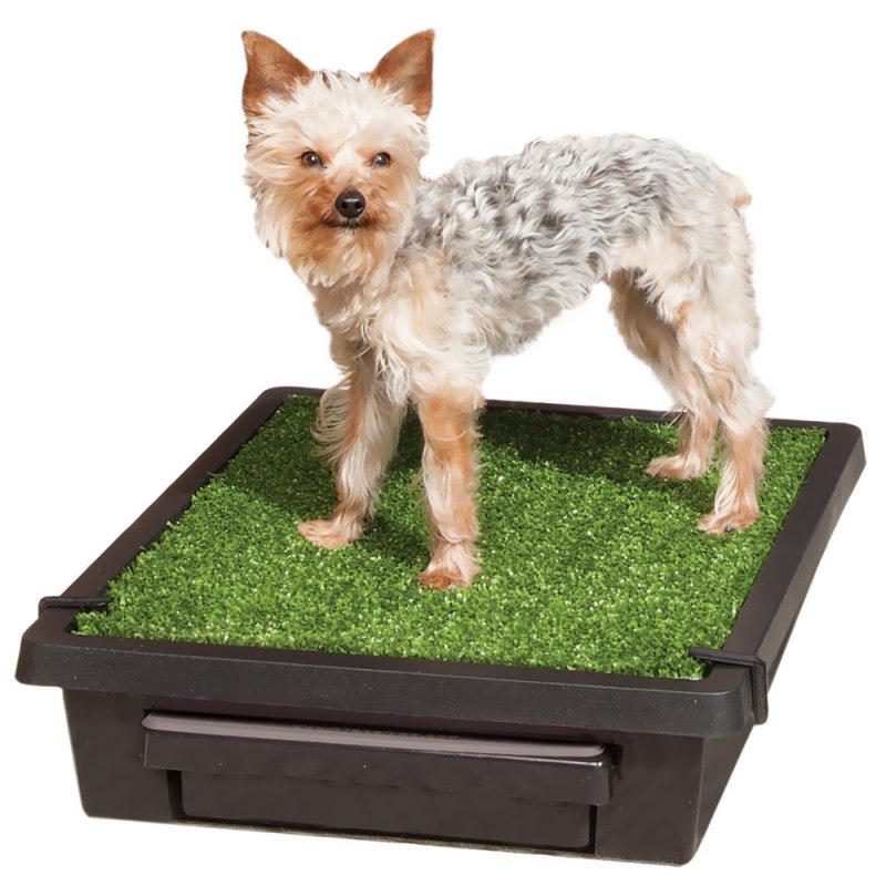 Petsafe для собак туалет