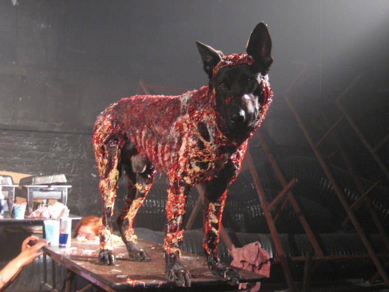 Dobermann 1997 Постер