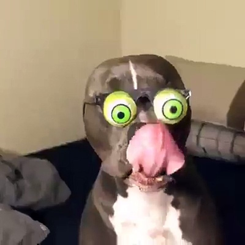 Огромные глаза gif
