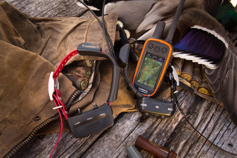 Garmin Alpha 100 с ошейником tt15