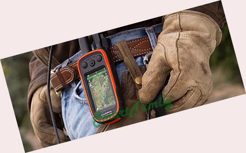 Garmin Alpha 100 с ошейником tt15