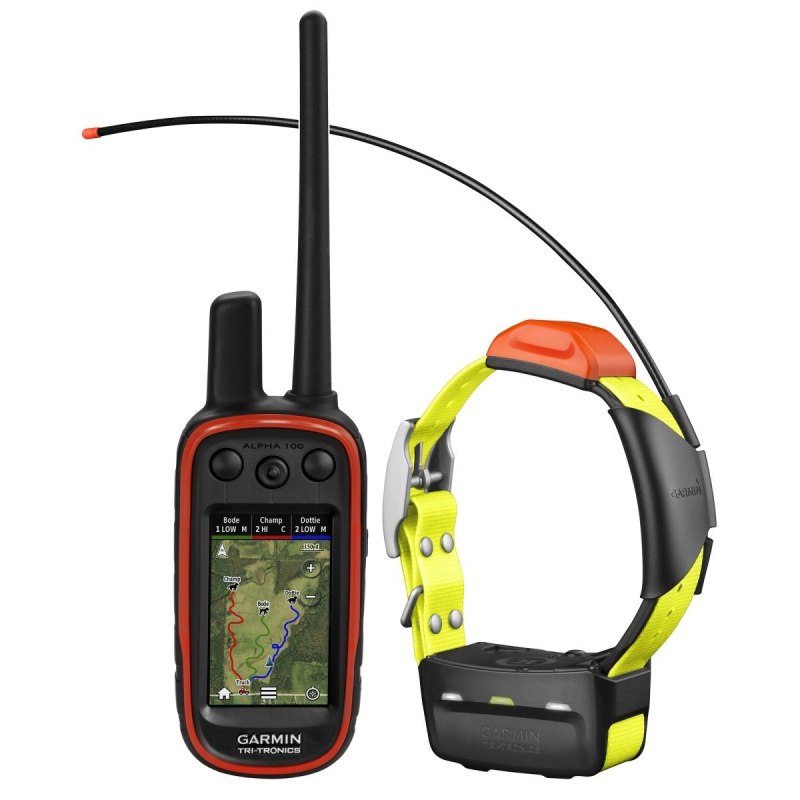 Garmin Alpha 100 с ошейником tt15