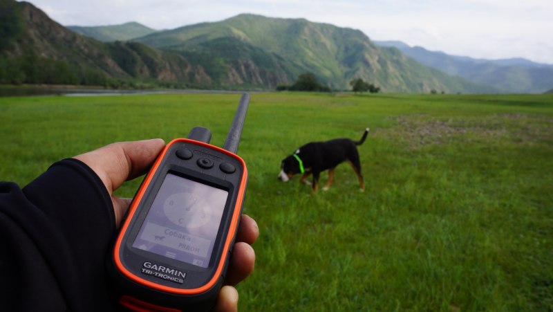 Garmin Alpha
