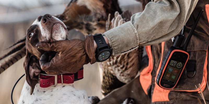 Garmin Dog track
