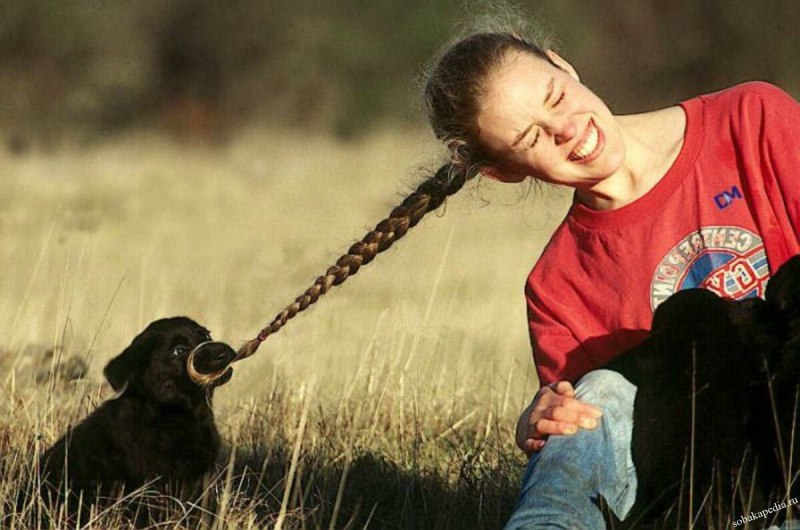 Дергать за косу