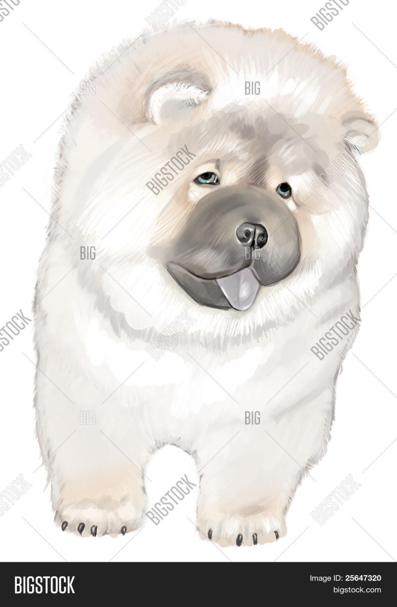 Карикатуры чау