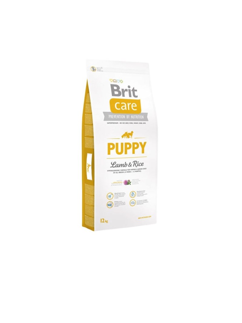 Brit Care Dog show Champion