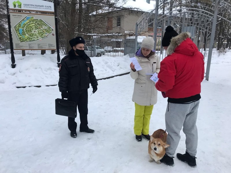 Выгуливать собак в Московском