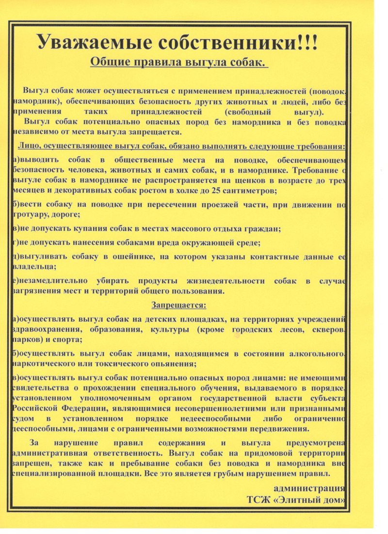 Выгул собак в Костроме