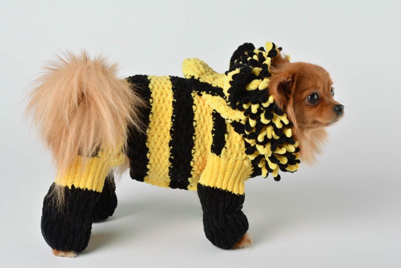 Knitting Dog Comics