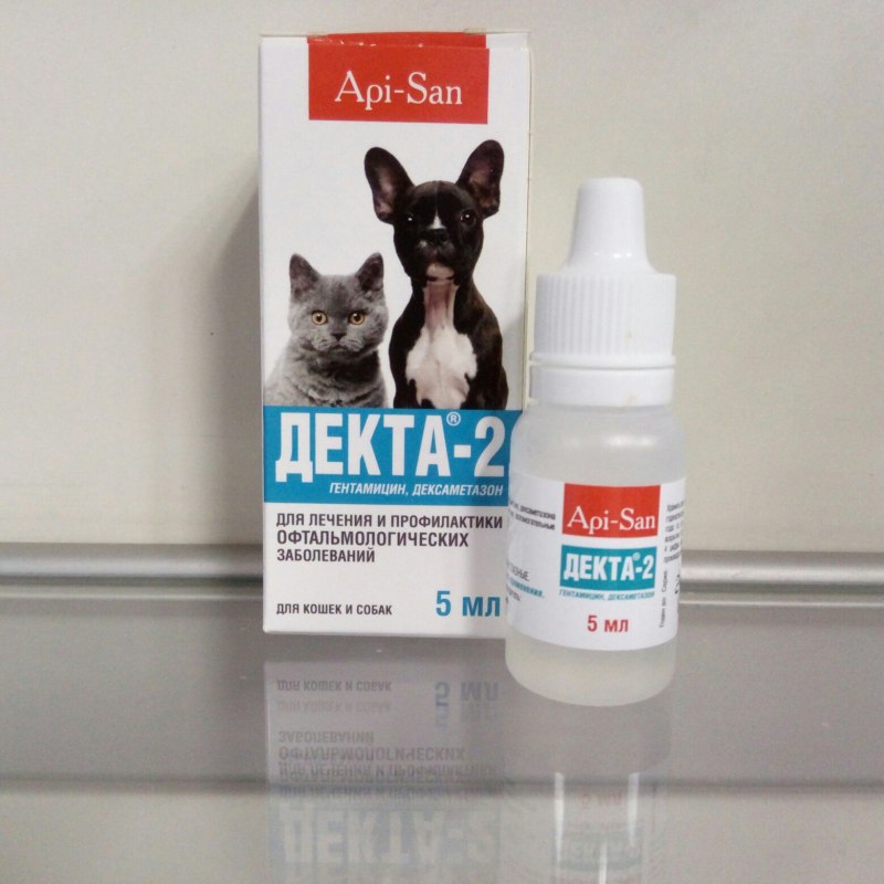 Уши собаки