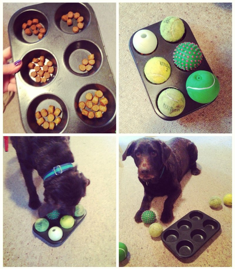 Консервы Dog lunch для собак, говядина