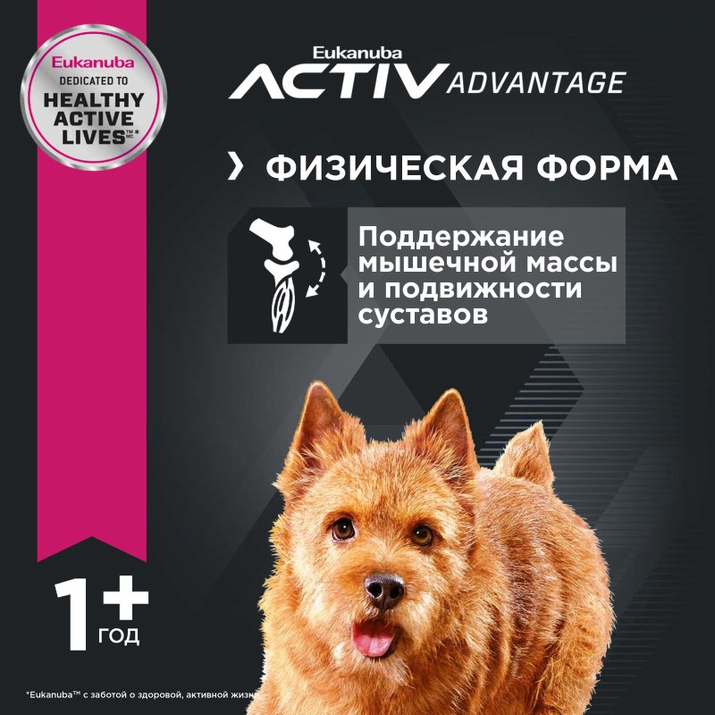 Контейнер для корма Педигри