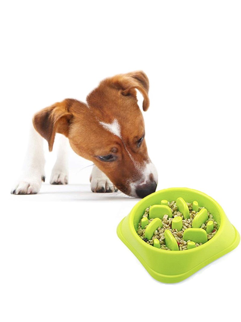 Dog lunch консервы для собак