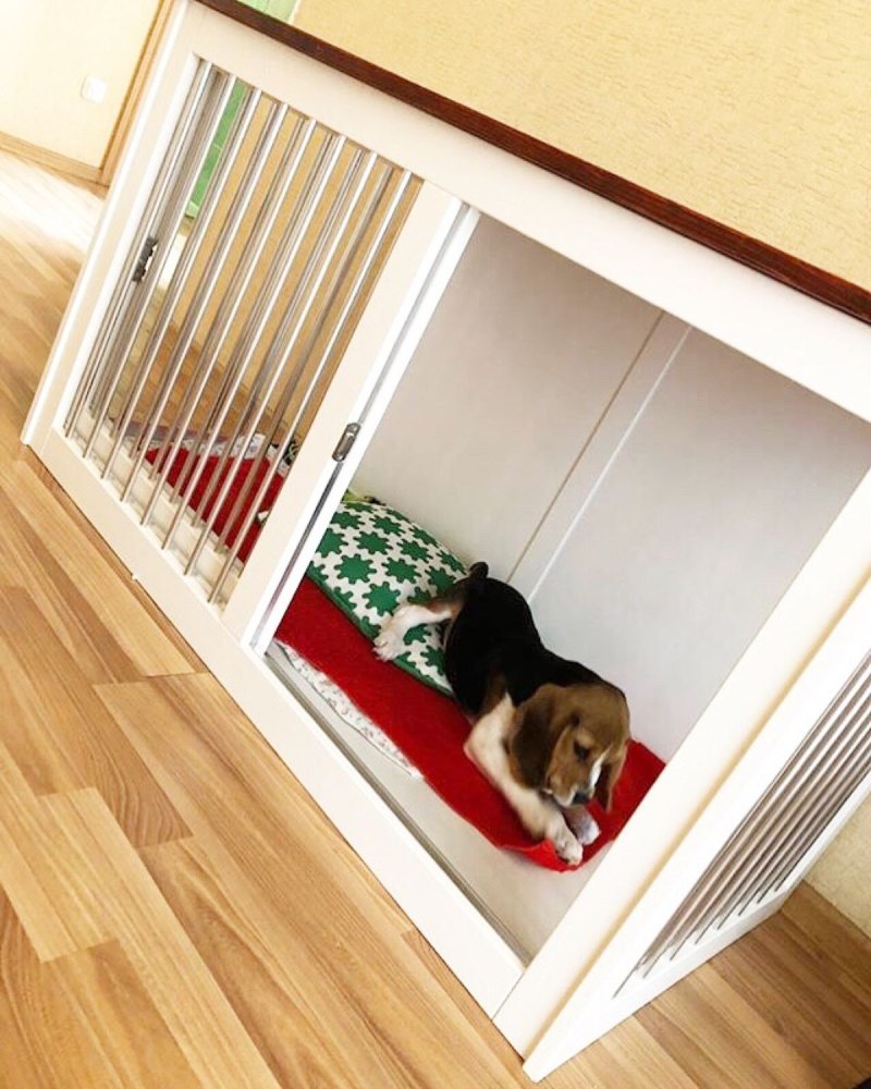 Клетка для собаки в квартиру