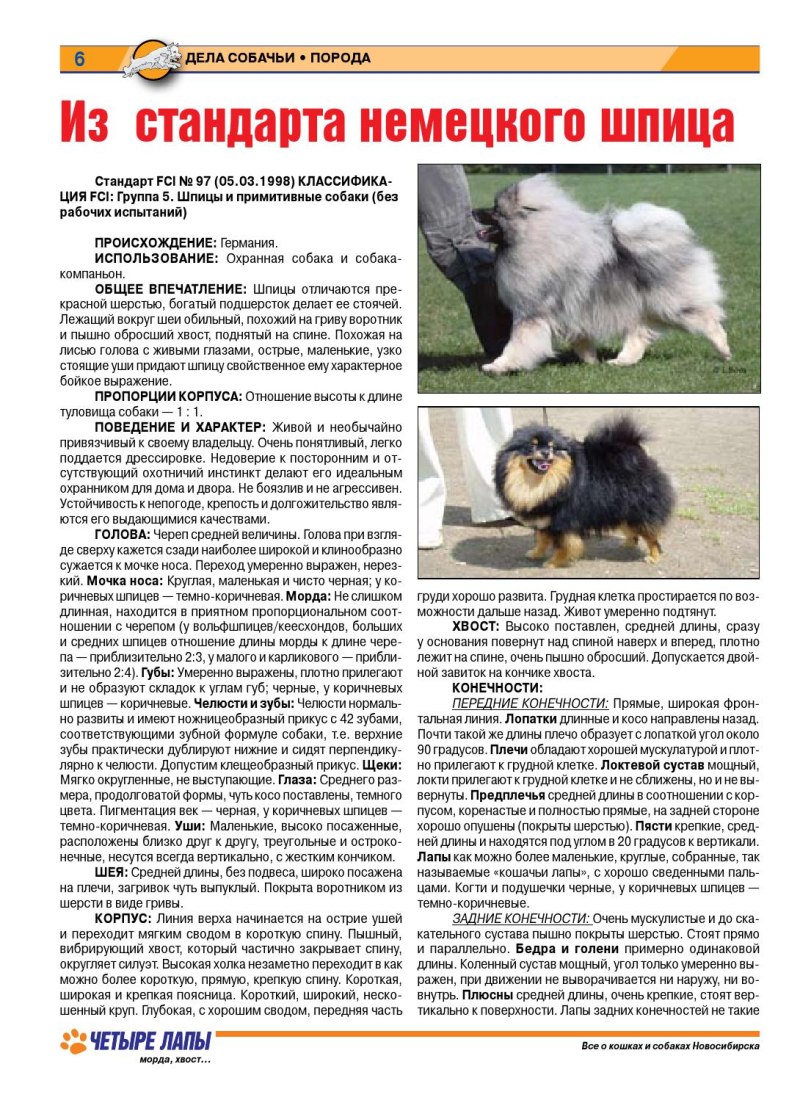 Немецкий малый шпиц стандарт РКФ