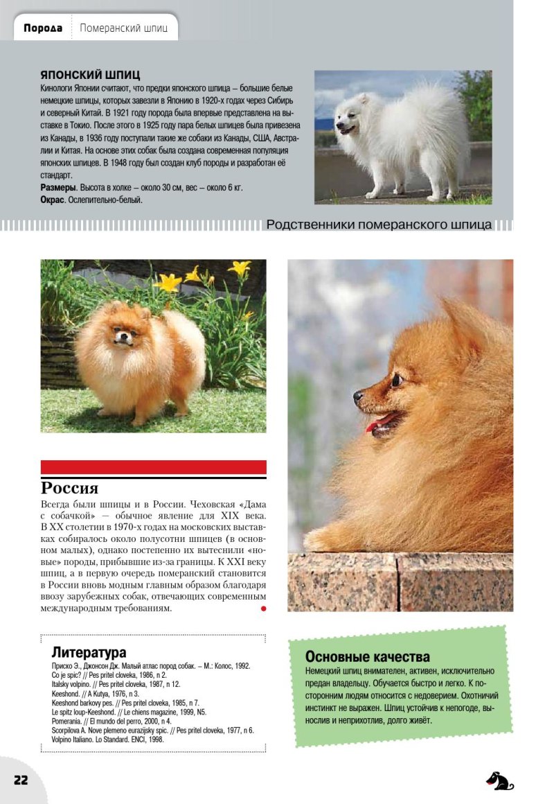 Карело финская лайка вес щенка по месяцам