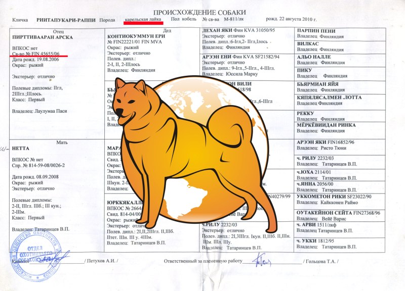Книги про шпицев