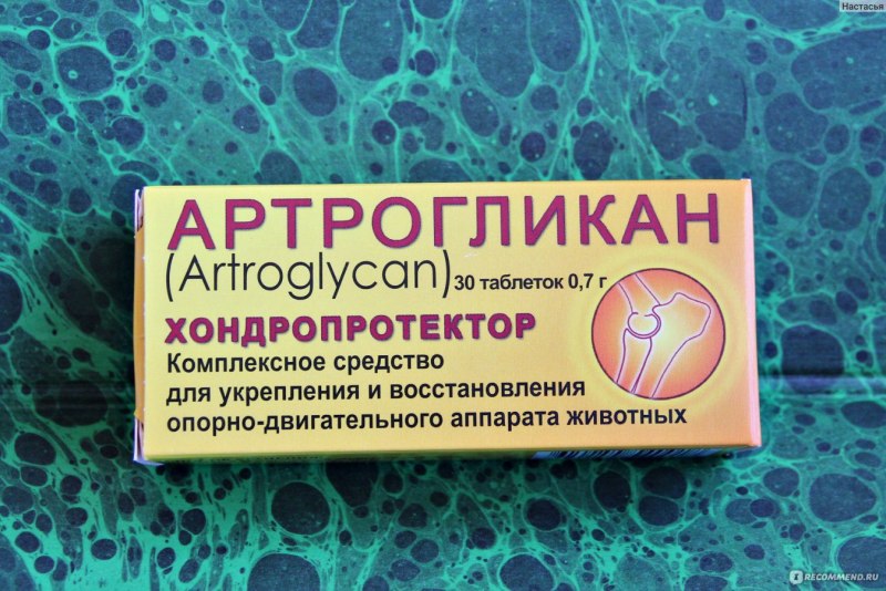 Таблетки для восстановления опорно двигательного аппарата