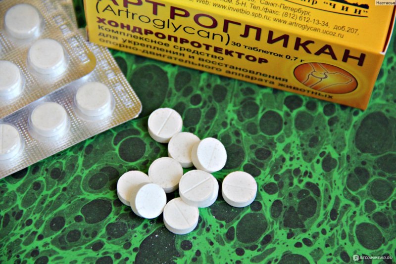 Таблетки от артрита для собак