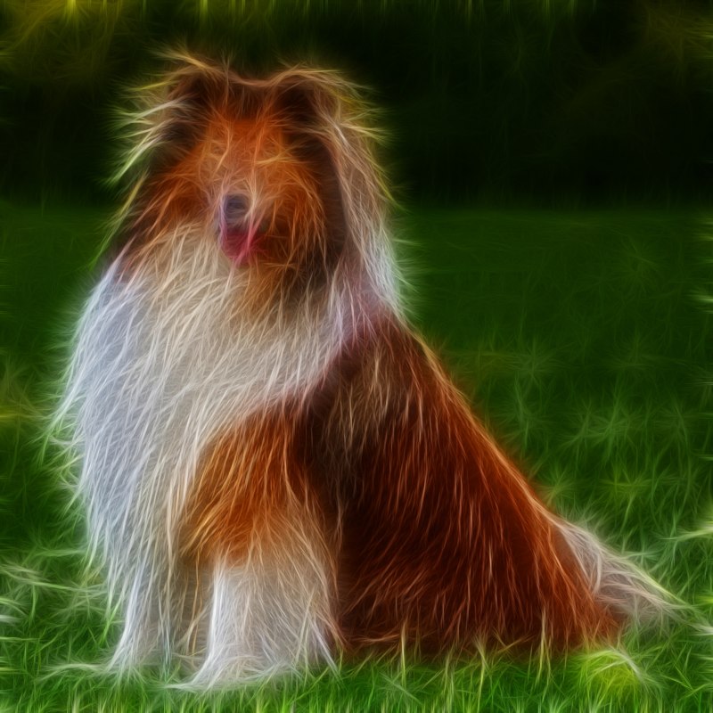 Fur Dog