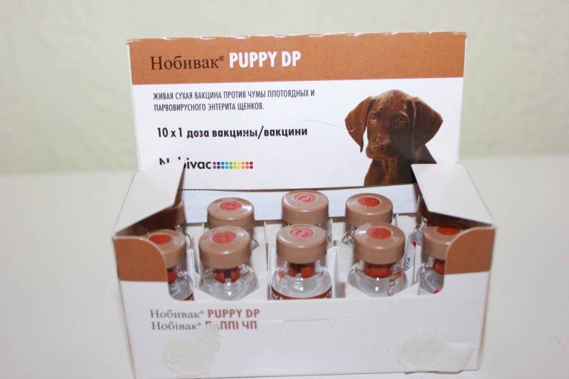 Нобивак Puppy dp (1фл-1д)
