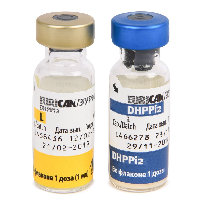 Eurican dhppi2 - l