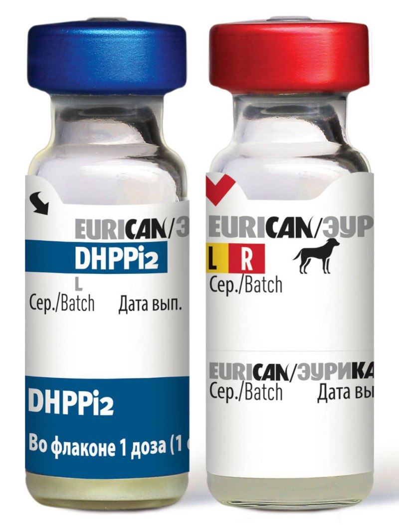 Eurican dhppi2 - RL