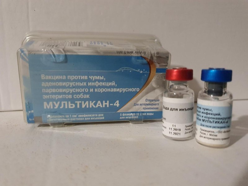 Мультикан-6 вакцина для собак